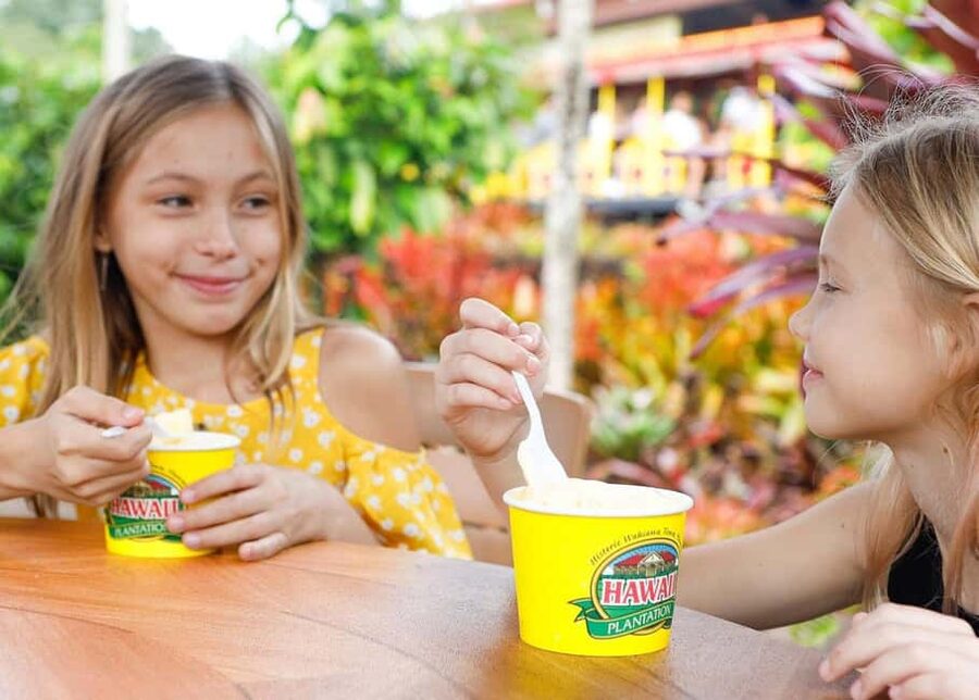 Oahu: Dole Plantation & Haleiwa Express Deluxe Tour - Riding in the deluxe motorcoach