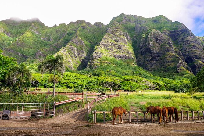 Oahu: Kualoa Ranch UTV Raptor Tour - Why Kualoa Ranch Is the Setting