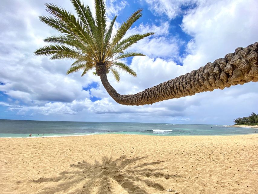Oahu: North Shore Experience and Dole Plantation - Key points to know before booking