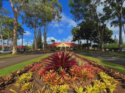 North Shore Experience and Dole Plantation