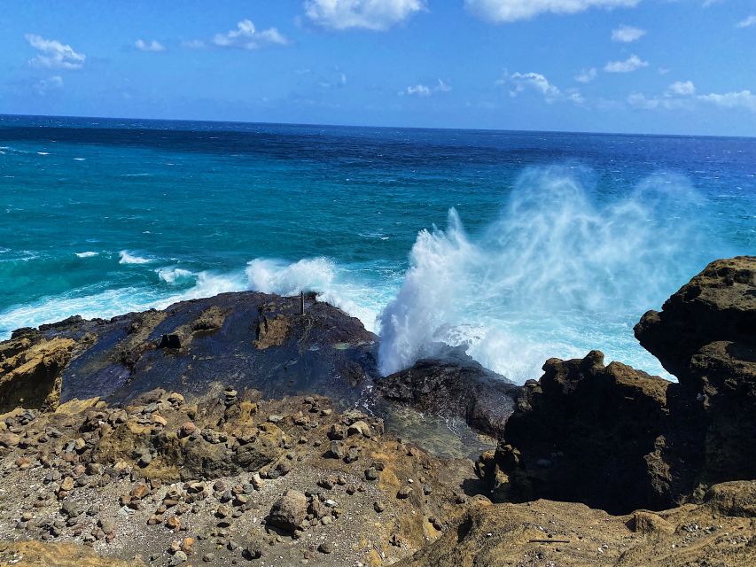 Oahu: North Shore Experience and Dole Plantation - North Shore beaches and winter surf