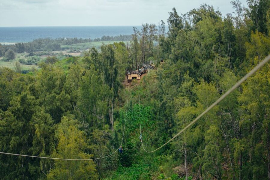 Oahu: North Shore Zip Line Adventure with ATV and Farm Tour - A farm visit with real context