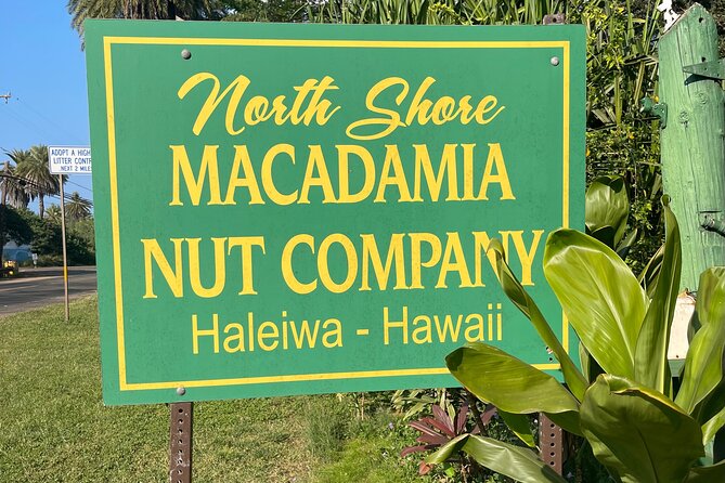 Oahu Private Tour North Shore, Waimea Falls and Dole Plantation - Waimea Falls: the day’s main walk