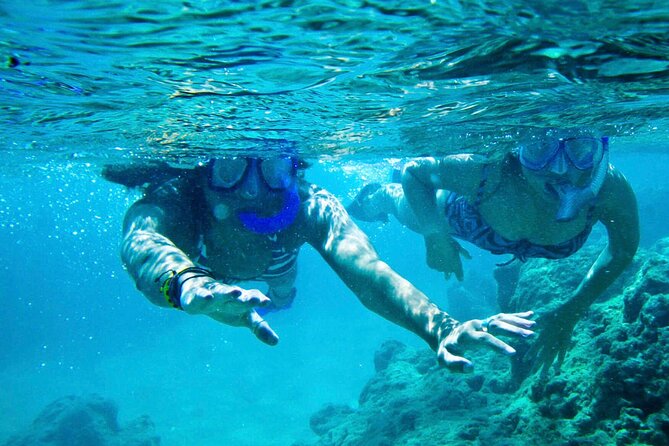 Oahu Private Tour North Shore, Waimea Falls and Dole Plantation - Surf country at Sunset Beach and beyond