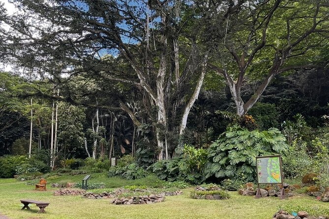 Oahu Private Tour North Shore, Waimea Falls and Dole Plantation - What the private minivan adds