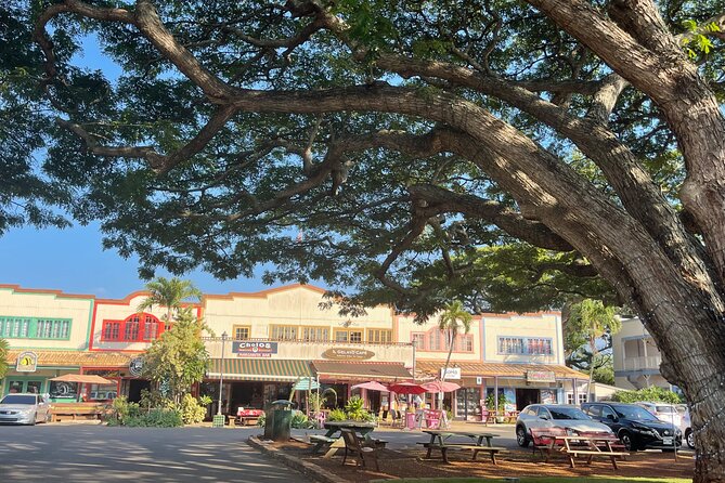 Oahu Private Tour North Shore, Waimea Falls and Dole Plantation - Is $385 per person a fair price?