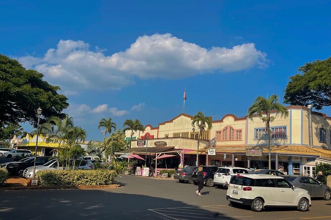 Oahu Private Tour North Shore, Waimea Falls and Dole Plantation - Laniakea Beach and the green turtles