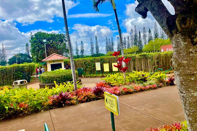 Oahu: Roundtrip Shuttle From Waikiki to Dole Plantation & Haleiwa - Key points to know before booking