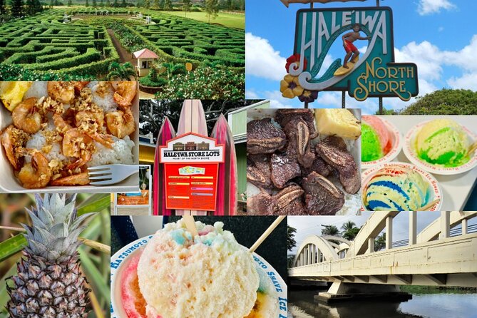 Oahu: Roundtrip Shuttle From Waikiki to Dole Plantation & Haleiwa - Haleiwa from 11:45 AM to 2:15 PM