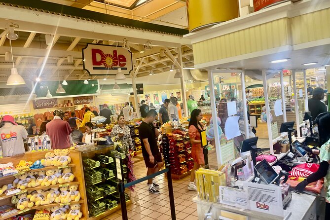 Oahu: Roundtrip Shuttle From Waikiki to Dole Plantation & Haleiwa - What the guides add to the ride