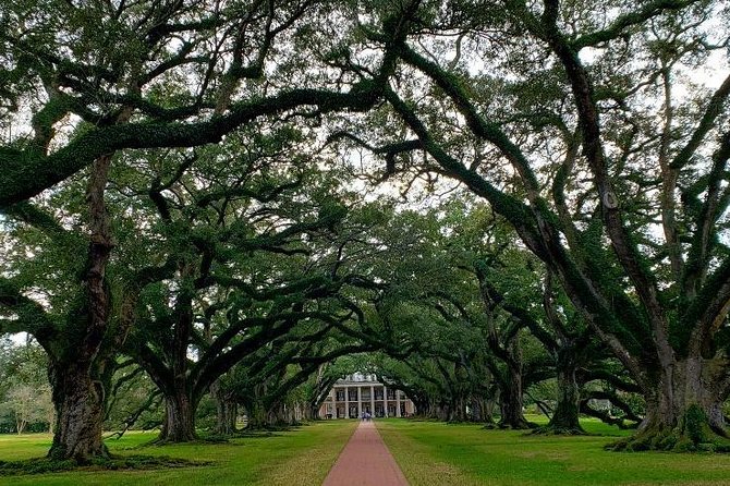Oak Alley and Laura Plantation Tour with Transportation from New Orleans - Why pair Laura Plantation with Oak Alley?