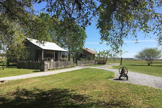 Oak Alley and Laura Plantation Tour with Transportation from New Orleans - Oak Alley: the famous trees and a shorter house visit