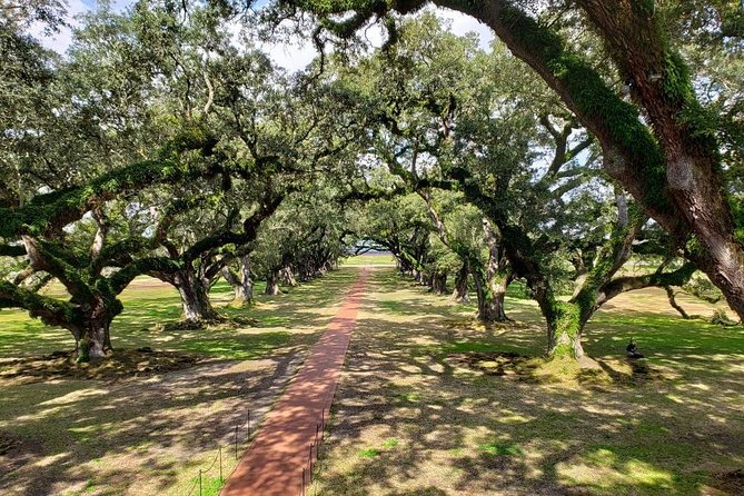 Oak Alley or Laura Plantation Tour from New Orleans - Four hours means a lot of road time