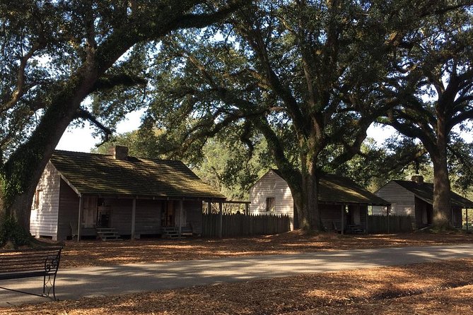 Oak Alley or Laura Plantation Tour from New Orleans - Hotel pickup, group size, and the early start