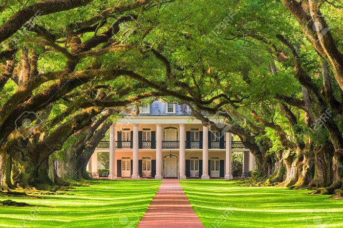 Oak Alley Plantation and Airboat Combo Tour by Bus - Two very different Louisiana experiences in one day