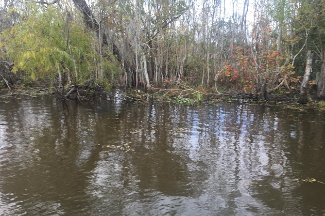 Oak Alley Plantation and Airboat Combo Tour by Bus - Is $152 a fair price?