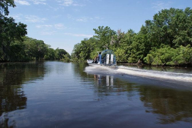 Oak Alley Plantation and Large Airboat Swamp Tour from New Orleans - Alligators, eagles, and the work of finding wildlife