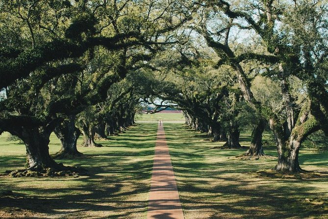 Oak Alley Plantation and Small Airboat Tour from New Orleans - Timing, group size, and comfort