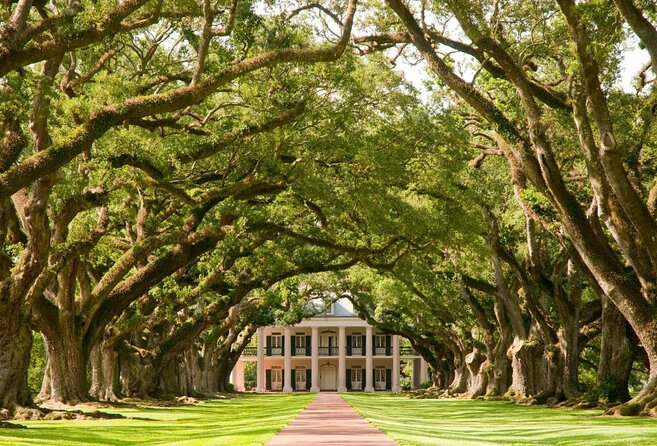 Oak Alley Plantation and Swamp Boat Tour from New Orleans - Key points to know before booking