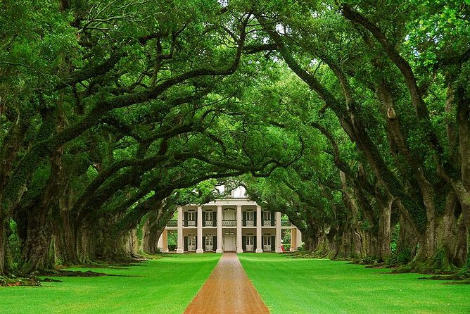 Oak Alley Plantation and Swamp Boat Tour from New Orleans - Getting out of New Orleans in the morning