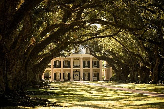 Oak Alley Plantation Half-Day Tour from New Orleans - Free time across the 25-acre grounds