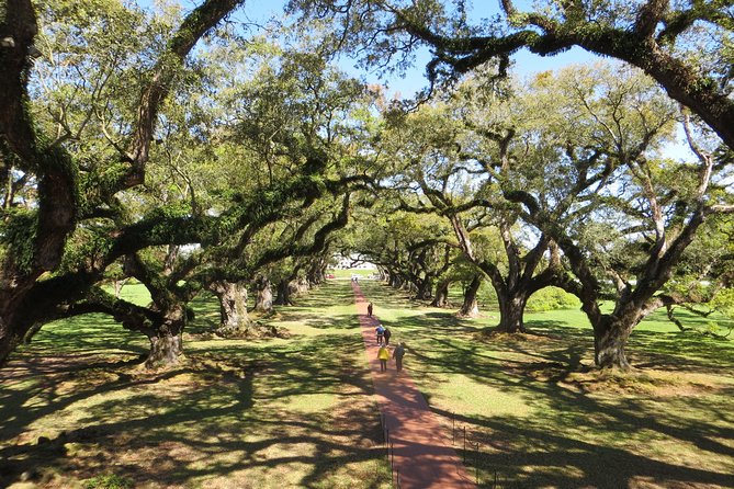 Oak Alley Plantation Half-Day Tour from New Orleans - The drive from New Orleans