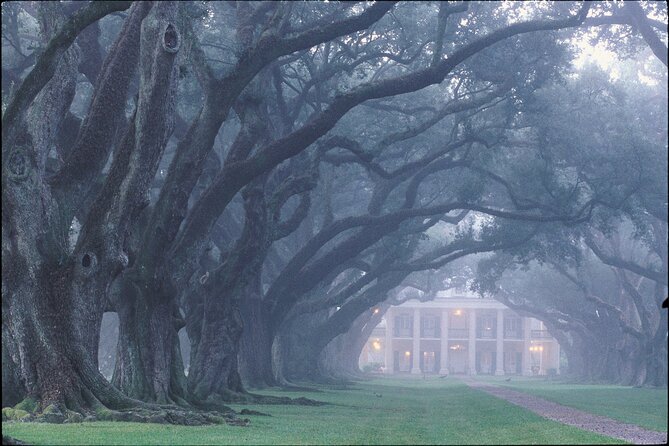 Oak Alley Plantation Tour with Pickup from New Orleans - The history is attractive, but not sugarcoated for everyone