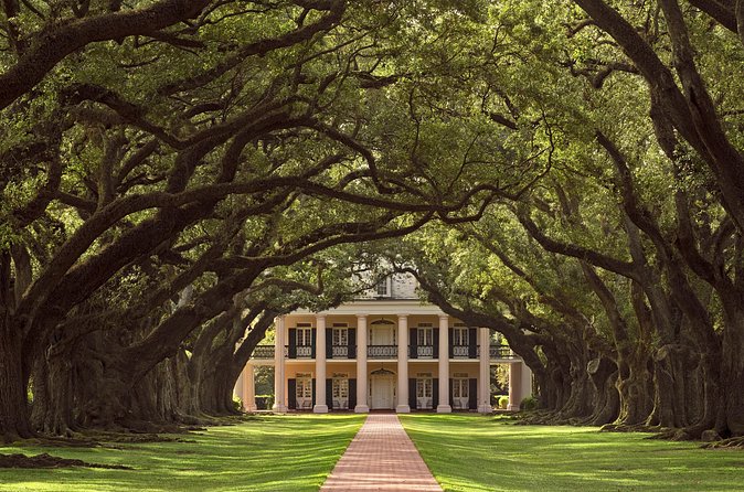 Oak Alley Plantation Tour with Pickup from New Orleans - Why the small group changes the experience