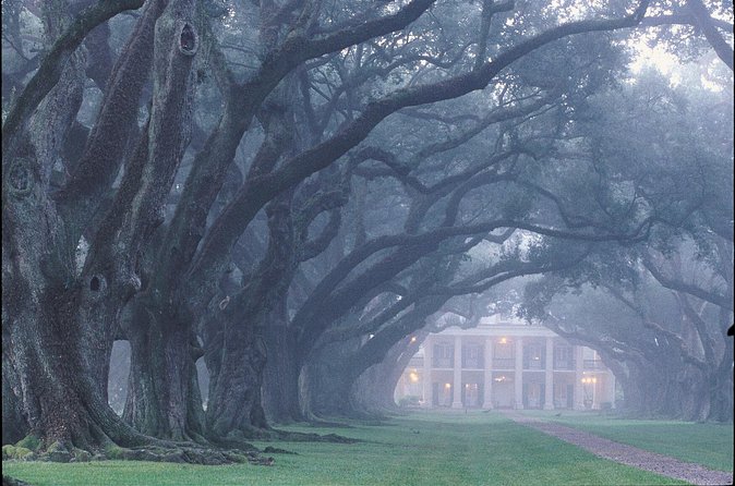 Oak Alley Plantation Tour with Pickup from New Orleans - Is $86.70 a fair price?
