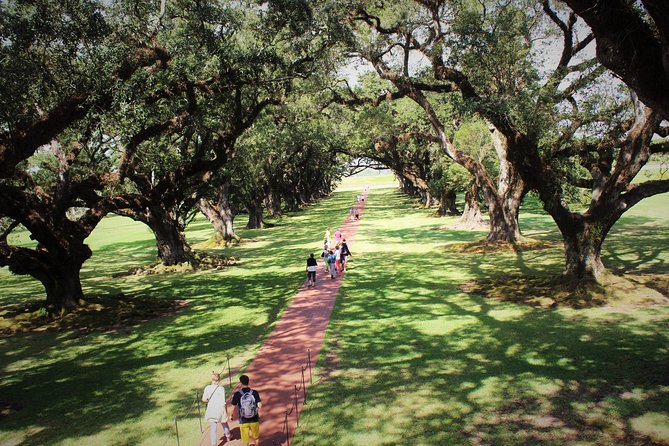 Oak Alley Plantation Tour with Transportation - What the 10 a.m. departure really means
