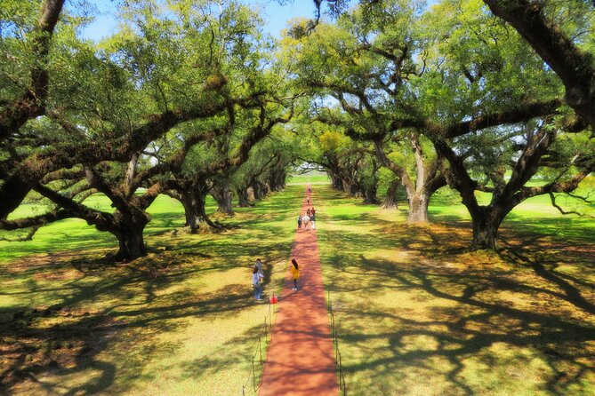 Oak Alley Plantation Tour with Transportation from New Orleans - Two hours at the plantation