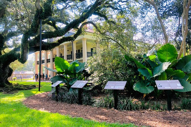 Oak Alley Plantation Tour with Transportation from New Orleans - Is the $89 price fair?