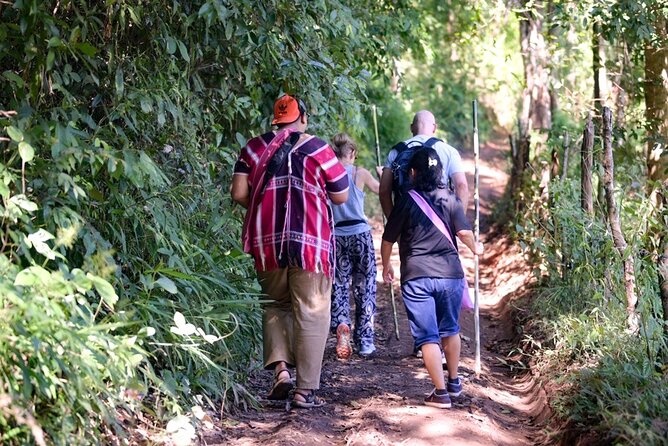 Off the Map Chiang Mai Jungle Coffee Trek Roast and Brew - Walking through coffee, herbs, and forest