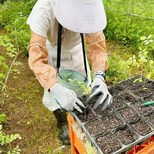 Okinawa: Traditional farming experience & cooking and a meal - Timing, walking, and what to bring