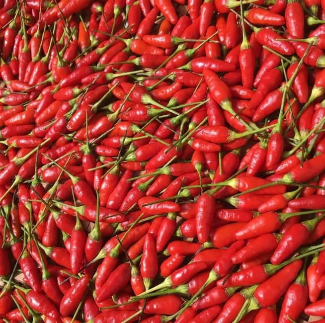 Okinawa: Traditional farming experience & cooking and a meal - Who will enjoy this most