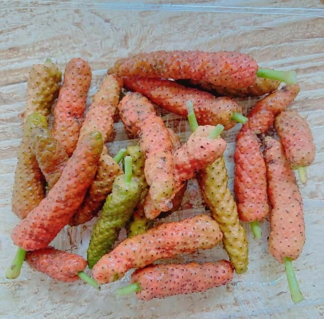 Okinawa: Traditional farming experience & cooking and a meal - Working the Sesoko Island garden