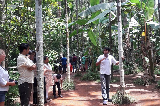 Old Goa Churches, Temples & Spice Plantation With "Goan" Lunch - What the private format really gives you