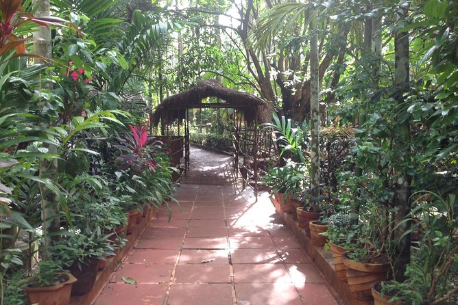 Old Goa Churches, Temples & Spice Plantation With "Goan" Lunch - Is $89 a fair price?