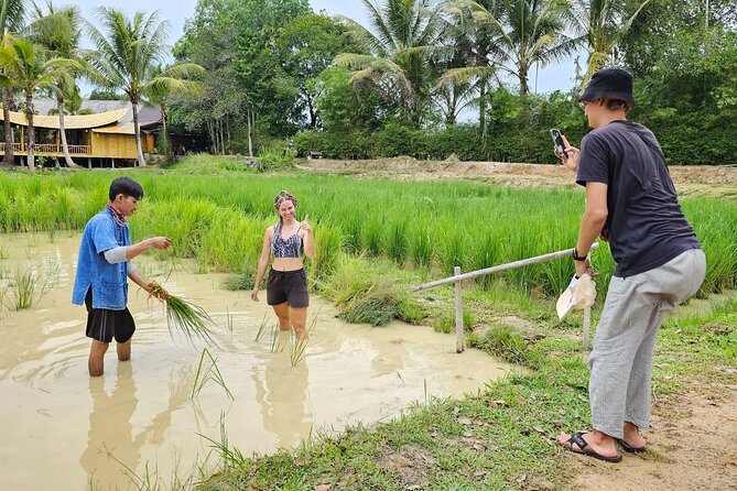 Old Phuket Farm Ticket - Countryside Local Life Culture - Coconut grating and curry paste in the Thai house