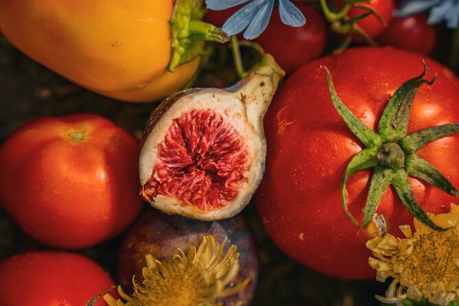 Olive farm & village - What makes this farm visit worth your morning
