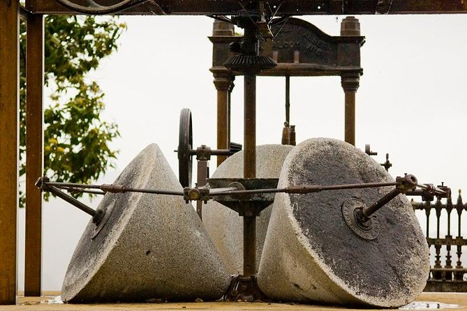 Olive Oil Farm Tour with Tasting from Seville - Group size and the personal touch