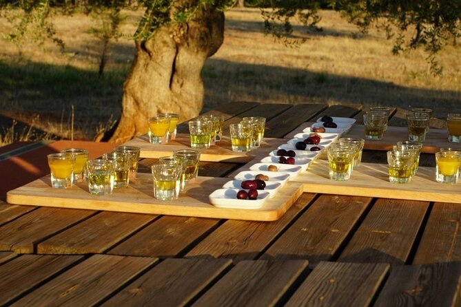 Olive Oil Tasting at the Mykonian Farm - Who will enjoy this Mykonos activity?