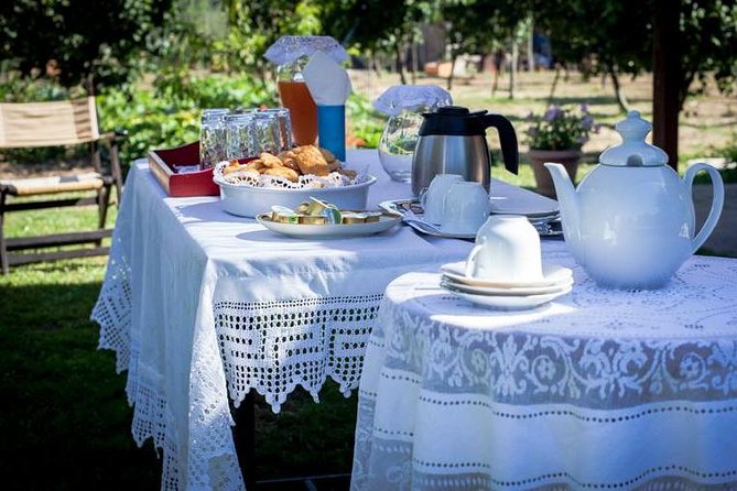 Olympia Shore Ex: Olympic site, Honey Farm & Olive Oil Tasting - Walking the grounds of the ancient Games