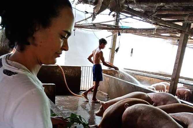 One day be Farmer and Master chef in Saigon - What the $74 price really covers