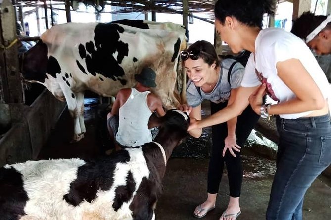 One day be Farmer and Master chef in Saigon - Picking ingredients for your own lunch