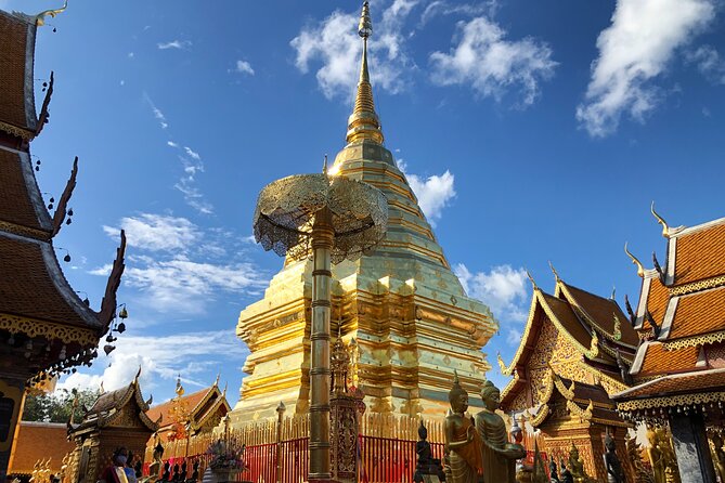 One Day Tour Doi Suthep Temple, Palad Temple, Orchid Farm, Longneck hill tribe village (Private tour) - Lunch With Northern Thailand’s Khao Soi