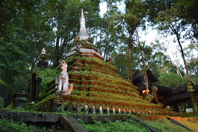 One Day Tour Doi Suthep Temple, Palad Temple, Orchid Farm, Longneck hill tribe village (Private tour) - Is the $129.70 Price Good Value?