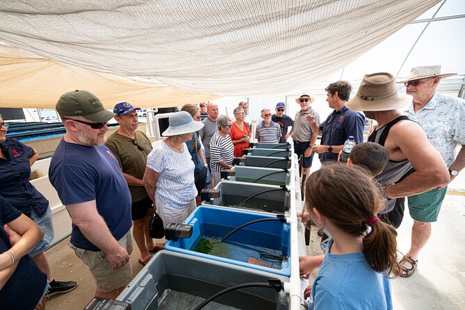 One Hour Coral Farm Tour, Discover Australia's Marine Life - Why the phone filter is worth using