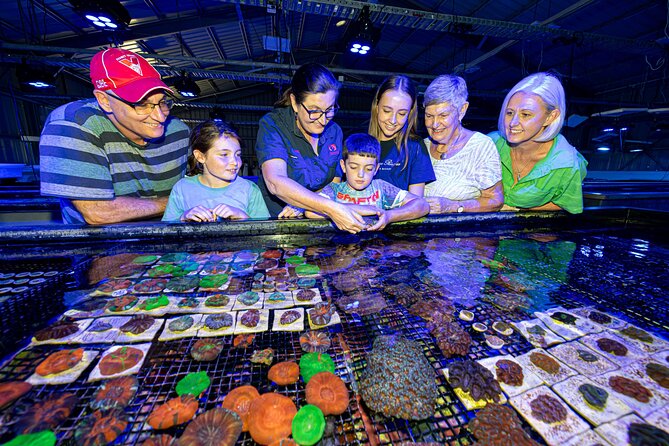 One Hour Coral Farm Tour, Discover Australia's Marine Life - Seeing the farm’s indoor and outdoor tanks