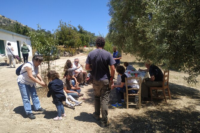 Organic Iberian Ham, farm visit and premium tasting! - The premium tasting: ham, sausage, pâté, and more